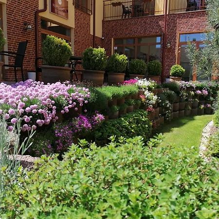 Jolan Pension & Restaurant Cicov Екстер'єр фото