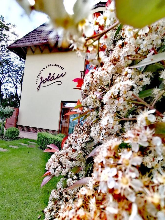 Jolan Pension & Restaurant Cicov Екстер'єр фото